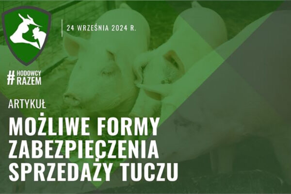 zabezpieczenie sprzedaży, tucz, zastaw, hipoteka, umowa przedwstępna, gwarancje, poręczenia, ubezpieczenie, przewłaszczenie na zabezpieczenie, ryzyko, transakcja, prawo, Kodeks cywilny, interesy sprzedającego, profesjonalny pełnomocnik