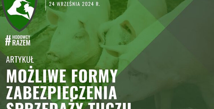 zabezpieczenie sprzedaży, tucz, zastaw, hipoteka, umowa przedwstępna, gwarancje, poręczenia, ubezpieczenie, przewłaszczenie na zabezpieczenie, ryzyko, transakcja, prawo, Kodeks cywilny, interesy sprzedającego, profesjonalny pełnomocnik