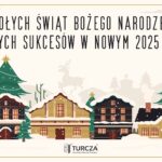 Wesołych Świąt Bożego Narodzenia i samych sukcesów w nowym 2025 roku!