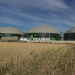 biogazownie rolnicze, opłacalność biogazowni, inwestycja w biogazownię, biogazownia do 500 kW, odnawialne źródła energii, zielona transformacja, bezpieczeństwo energetyczne gospodarstw, substraty do biogazowni, gnojowica, obornik, odpady rolnicze, Feed-in Tariff FiT, Feed-in Premium FIP, Energia dla Wsi, dofinansowanie biogazowni, finansowanie biogazowni, moc przyłączeniowa, OSD operator systemu dystrybucyjnego, sprzedaż energii elektrycznej, rentowność biogazowni, rolnicy i przedsiębiorcy rolni, Karolina Nalewaj