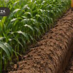 służebność przesyłu, odszkodowanie za słupy energetyczne, odszkodowanie za linie przesyłowe, odszkodowanie za gazociągi, odszkodowanie za wodociągi, właściciele gruntów, wynagrodzenie za bezumowne korzystanie z gruntów, ograniczenia właściciela, zasiedzenie służebności przesyłu, procedura ustanowienia służebności, rekompensata za służebność przesyłu, prawo własności, przepisy 2026, elektrownie, prawo energetyczne, odszkodowania rolnicze