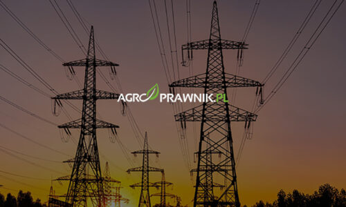 odszkodowanie za słupy, służebność przesyłu, wyrok TK 2025, wznowienie sprawy, grunty rolne odszkodowanie, linie energetyczne, gazociągi, linie telekomunikacyjne, bezumowne korzystanie z ziemi, prawa właściciela gruntów, Trybunał Konstytucyjny P 10/16, Trybunał Konstytucyjny SK 17/18, rolnicy odszkodowanie, prawo nieruchomości rolnej, odzyskanie pieniędzy za ziemię, przestarzałe zasiedzenie służebności, terminy wznowienia spraw, postępowanie cywilne, uchwała SN III PZP 2/09, art. 408 k.p.c., Karolina Nalewaj