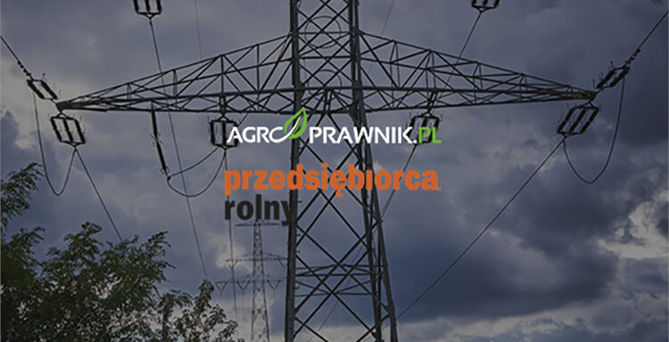 ochrona własności, zasada numerus clausus, prawa rzeczowe, Kodeks cywilny interpretacja, orzecznictwo Sądu Najwyższego, wyrok Trybunału Konstytucyjnego, ograniczenie prawa własności, właściciele nieruchomości, przedsiębiorstwa przesyłowe, infrastruktura przesyłowa, prywatne grunty, prawo własności w praktyce, kamień milowy w prawie, artykuł Przedsiębiorca Rolny