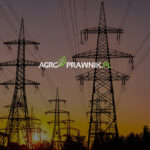 służebność przesyłu, właściciel nieruchomości, wynagrodzenie, przedsiębiorca przesyłowy, infrastruktura techniczna, wyrok TK 2025, ograniczone prawo rzeczowe, odszkodowanie, roszczenie cywilne, art. 305¹–305⁴ k.c., Karolina Nalewaj