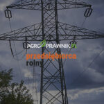 słupy energetyczne na działce, urządzenia przesyłowe na gruncie rolnym, wynagrodzenie za bezumowne korzystanie z nieruchomości, służebność przesyłu, zasiedzenie służebności przesyłu, wyrok Trybunału Konstytucyjnego słupy energetyczne, roszczenia właścicieli gruntów rolnych, odszkodowanie za słupy energetyczne, infrastruktura przesyłowa na prywatnym gruncie, gazociąg na działce rolnika, linie energetyczne na prywatnej działce, prawa właściciela nieruchomości rolnej, ustanowienie służebności przesyłu, wynagrodzenie za zajęty grunt, bezumowne korzystanie z gruntu, rolnik a przedsiębiorstwo przesyłowe, roszczenia wobec zakładów energetycznych, Karolina Nalewaj