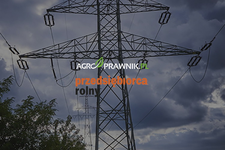 słupy energetyczne na działce, urządzenia przesyłowe na gruncie rolnym, wynagrodzenie za bezumowne korzystanie z nieruchomości, służebność przesyłu, zasiedzenie służebności przesyłu, wyrok Trybunału Konstytucyjnego słupy energetyczne, roszczenia właścicieli gruntów rolnych, odszkodowanie za słupy energetyczne, infrastruktura przesyłowa na prywatnym gruncie, gazociąg na działce rolnika, linie energetyczne na prywatnej działce, prawa właściciela nieruchomości rolnej, ustanowienie służebności przesyłu, wynagrodzenie za zajęty grunt, bezumowne korzystanie z gruntu, rolnik a przedsiębiorstwo przesyłowe, roszczenia wobec zakładów energetycznych, Karolina Nalewaj