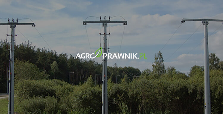 sprzedaż działki z linią energetyczną, linia energetyczna na działce odszkodowanie, służebność przesyłu po sprzedaży nieruchomości, wynagrodzenie za bezumowne korzystanie z nieruchomości, roszczenia byłego właściciela działki, infrastruktura przesyłowa na prywatnej działce, gazociąg na działce roszczenia, obniżenie wartości nieruchomości przez słupy energetyczne, przedsiębiorstwo przesyłowe a właściciel gruntu, odszkodowanie za urządzenia przesyłowe, prawa właściciela nieruchomości po sprzedaży, zasiedzenie służebności przesyłu, spory o słupy energetyczne, wynagrodzenie za grunt z infrastrukturą, roszczenia wobec zakładów energetycznych, Karolina Nalewaj