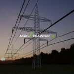 prawa właściciela nieruchomości obciążonej słupami energetycznymi, słup energetyczny na działce, służebność przesyłu, roszczenie negatoryjne, usunięcie słupa energetycznego, przesunięcie słupa, wynagrodzenie za służebność przesyłu, odszkodowanie za bezumowne korzystanie z gruntu, obniżenie wartości rynkowej nieruchomości, przymusowy wykup nieruchomości, posadowienie słupa bez tytułu prawnego, art. 222 kodeksu cywilnego, roszczenie o usunięcie urządzeń przesyłowych, odszkodowanie za ograniczenie korzystania z działki, strefa ochronna słupa, wynagrodzenie za zajęcie gruntu, bezumowne korzystanie z nieruchomości, wykup działki przez przedsiębiorstwo energetyczne, ograniczenie prawa własności przez słupy energetyczne, Karolina Nalewaj
