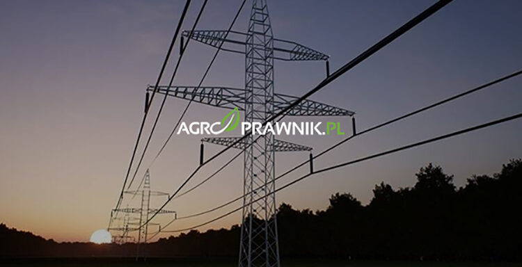 prawa właściciela nieruchomości obciążonej słupami energetycznymi, słup energetyczny na działce, służebność przesyłu, roszczenie negatoryjne, usunięcie słupa energetycznego, przesunięcie słupa, wynagrodzenie za służebność przesyłu, odszkodowanie za bezumowne korzystanie z gruntu, obniżenie wartości rynkowej nieruchomości, przymusowy wykup nieruchomości, posadowienie słupa bez tytułu prawnego, art. 222 kodeksu cywilnego, roszczenie o usunięcie urządzeń przesyłowych, odszkodowanie za ograniczenie korzystania z działki, strefa ochronna słupa, wynagrodzenie za zajęcie gruntu, bezumowne korzystanie z nieruchomości, wykup działki przez przedsiębiorstwo energetyczne, ograniczenie prawa własności przez słupy energetyczne, Karolina Nalewaj