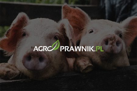 Program ARiMR, Bezprocentowe kredyty, Hodowcy świń, ASF, AFRYKAŃSKI POMÓR ŚWIŃ, Pożyczki, Producenci trzody chlewnej, NP2, Wsparcie hodowców, Zobowiązania cywilnoprawne, Odbudowa branży, Biura powiatowe ARiMR, Pomoc de minimis, Unijne regulacje, Prowizja, IV kwartał 2023 roku, Terminy referencyjne, Dobrostan zwierząt, Maksymalny okres spłaty, Elastyczność, Kwota pożyczki, Hodowcy elastyczność, ARiMR, Sektor, Katastrofalne skutki ASF, Procedury, Wnioski, Karolina Nalewaj