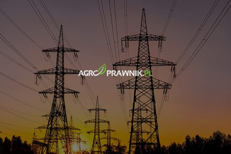 odszkodowanie za słupy, służebność przesyłu, wyrok TK 2025, wznowienie sprawy, grunty rolne odszkodowanie, linie energetyczne, gazociągi, linie telekomunikacyjne, bezumowne korzystanie z ziemi, prawa właściciela gruntów, Trybunał Konstytucyjny P 10/16, Trybunał Konstytucyjny SK 17/18, rolnicy odszkodowanie, prawo nieruchomości rolnej, odzyskanie pieniędzy za ziemię, przestarzałe zasiedzenie służebności, terminy wznowienia spraw, postępowanie cywilne, uchwała SN III PZP 2/09, art. 408 k.p.c., Karolina Nalewaj