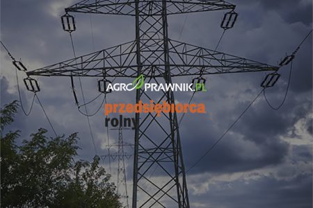 ochrona własności, zasada numerus clausus, prawa rzeczowe, Kodeks cywilny interpretacja, orzecznictwo Sądu Najwyższego, wyrok Trybunału Konstytucyjnego, ograniczenie prawa własności, właściciele nieruchomości, przedsiębiorstwa przesyłowe, infrastruktura przesyłowa, prywatne grunty, prawo własności w praktyce, kamień milowy w prawie, artykuł Przedsiębiorca Rolny