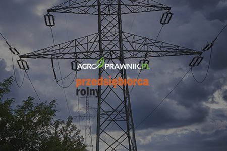 słupy energetyczne na działce, urządzenia przesyłowe na gruncie rolnym, wynagrodzenie za bezumowne korzystanie z nieruchomości, służebność przesyłu, zasiedzenie służebności przesyłu, wyrok Trybunału Konstytucyjnego słupy energetyczne, roszczenia właścicieli gruntów rolnych, odszkodowanie za słupy energetyczne, infrastruktura przesyłowa na prywatnym gruncie, gazociąg na działce rolnika, linie energetyczne na prywatnej działce, prawa właściciela nieruchomości rolnej, ustanowienie służebności przesyłu, wynagrodzenie za zajęty grunt, bezumowne korzystanie z gruntu, rolnik a przedsiębiorstwo przesyłowe, roszczenia wobec zakładów energetycznych, Karolina Nalewaj