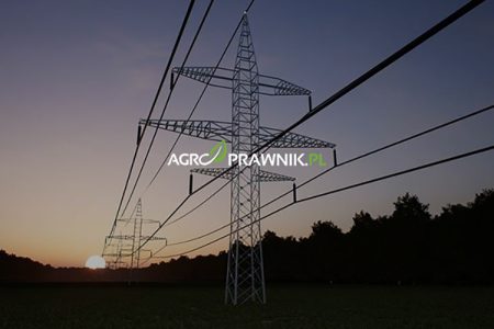 prawa właściciela nieruchomości obciążonej słupami energetycznymi, słup energetyczny na działce, służebność przesyłu, roszczenie negatoryjne, usunięcie słupa energetycznego, przesunięcie słupa, wynagrodzenie za służebność przesyłu, odszkodowanie za bezumowne korzystanie z gruntu, obniżenie wartości rynkowej nieruchomości, przymusowy wykup nieruchomości, posadowienie słupa bez tytułu prawnego, art. 222 kodeksu cywilnego, roszczenie o usunięcie urządzeń przesyłowych, odszkodowanie za ograniczenie korzystania z działki, strefa ochronna słupa, wynagrodzenie za zajęcie gruntu, bezumowne korzystanie z nieruchomości, wykup działki przez przedsiębiorstwo energetyczne, ograniczenie prawa własności przez słupy energetyczne, Karolina Nalewaj