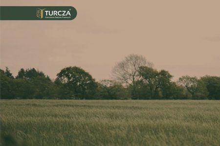 KOWR, Krajowy Ośrodek Wsparcia Rolnictwa, rozliczenie nakładów inwestycyjnych, nakłady inwestycyjne dzierżawcy, dzierżawa nieruchomości rolnej, zakończenie umowy dzierżawy, umowa dzierżawy z KOWR, Zasób Własności Rolnej Skarbu Państwa, ZWRSP, nieruchomości rolne Skarbu Państwa, zwrot nakładów, rozliczenie ulepszeń, inwestycje na dzierżawionej nieruchomości, prawa dzierżawcy, obowiązki dzierżawcy, art. 676 kodeksu cywilnego, art. 694 kodeksu cywilnego, Kodeks cywilny dzierżawa, wygaśnięcie umowy dzierżawy, protokół zdawczo-odbiorczy, wycena nakładów, rzeczoznawca majątkowy, dokumentacja inwestycji, nakłady budowlane, nakłady technologiczne, nakłady infrastrukturalne, ulepszenia nieruchomości, nakłady konieczne, negocjacje z KOWR, roszczenia dzierżawcy, rozliczenie inwestycji rolnej, gospodarowanie nieruchomościami rolnymi Skarbu Państwa, ustawa o gospodarowaniu nieruchomościami rolnymi Skarbu Państwa, zakończenie dzierżawy rolnej, inwestycje w gospodarstwie rolnym, ochrona interesów dzierżawcy, kancelaria prawna KOWR, spory z KOWR
